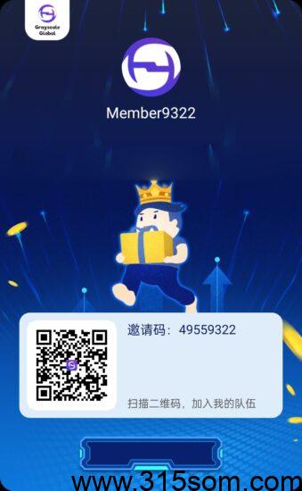 首码🔥灰度空间-315首码项目网