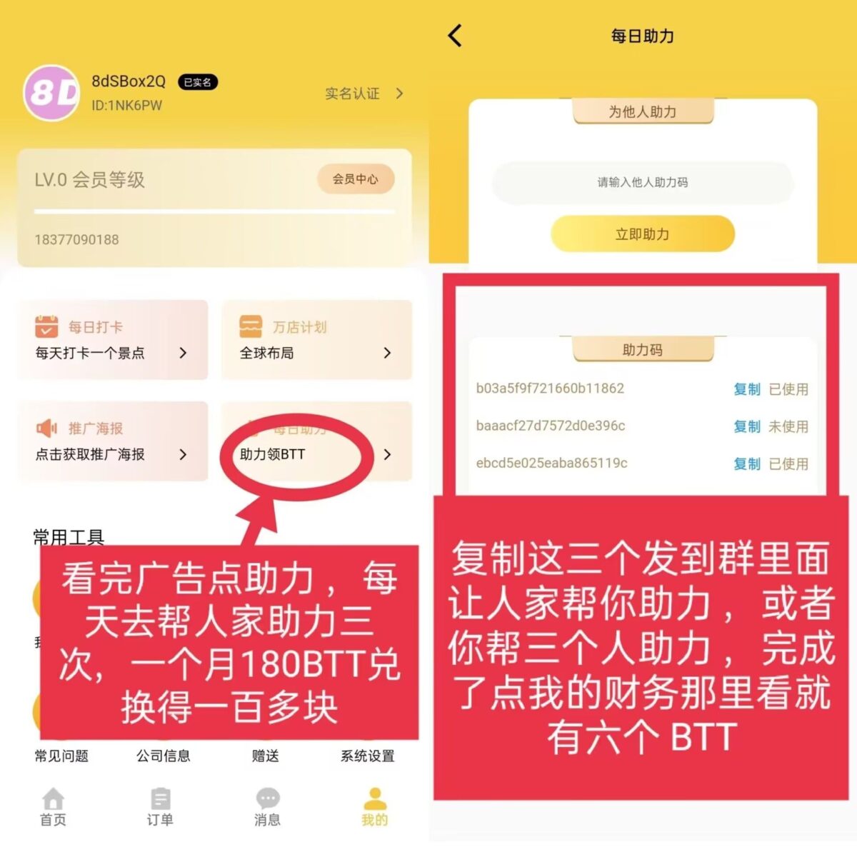 20231103134248793-波比2