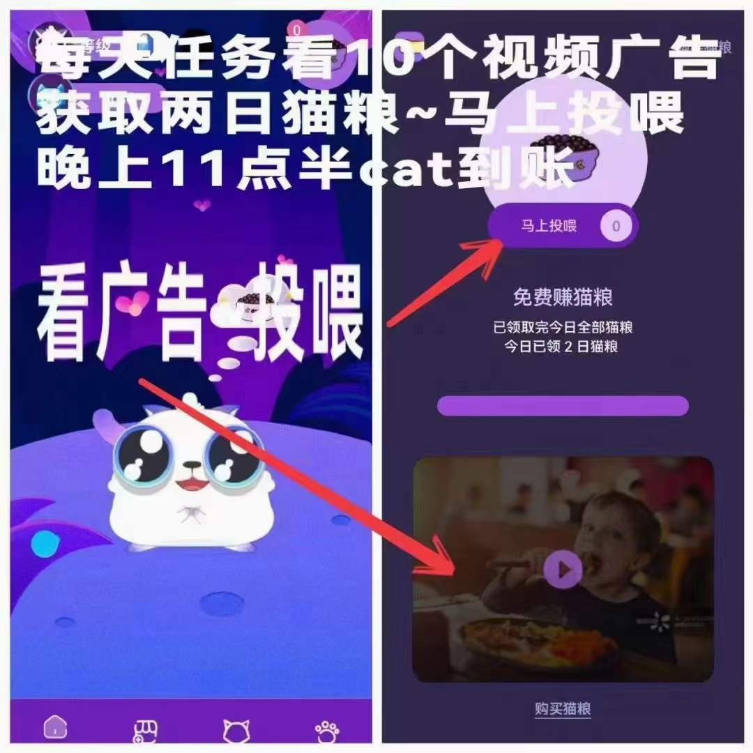 零L项目petcat 1cat黑市110 - 首码项目网-首码项目网