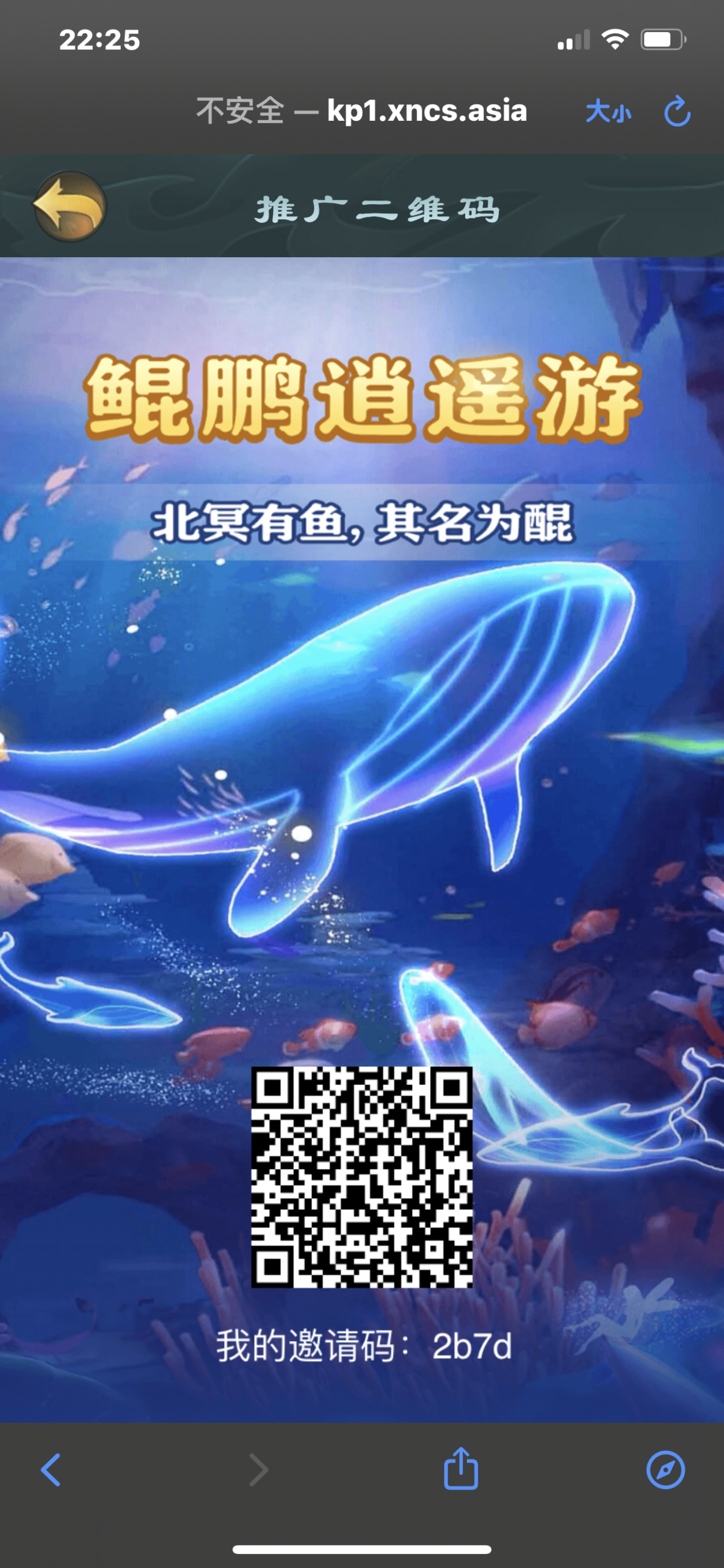 鲲鹏逍遥游 首码刚出无广告 - 首码项目网-首码项目网