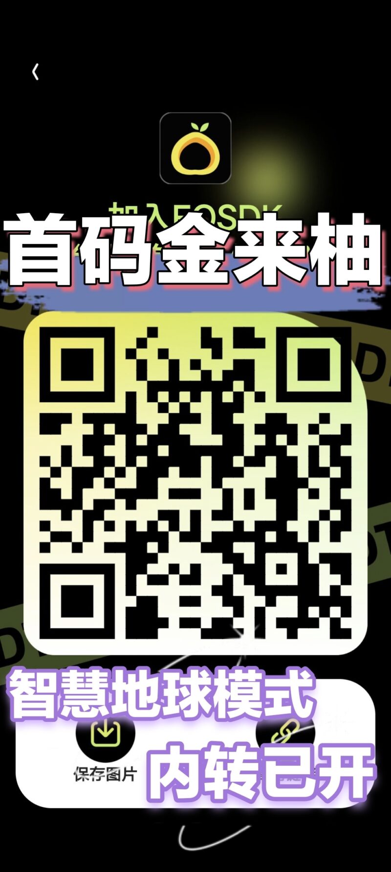 跨年巨献，首码金来柚-315首码项目网