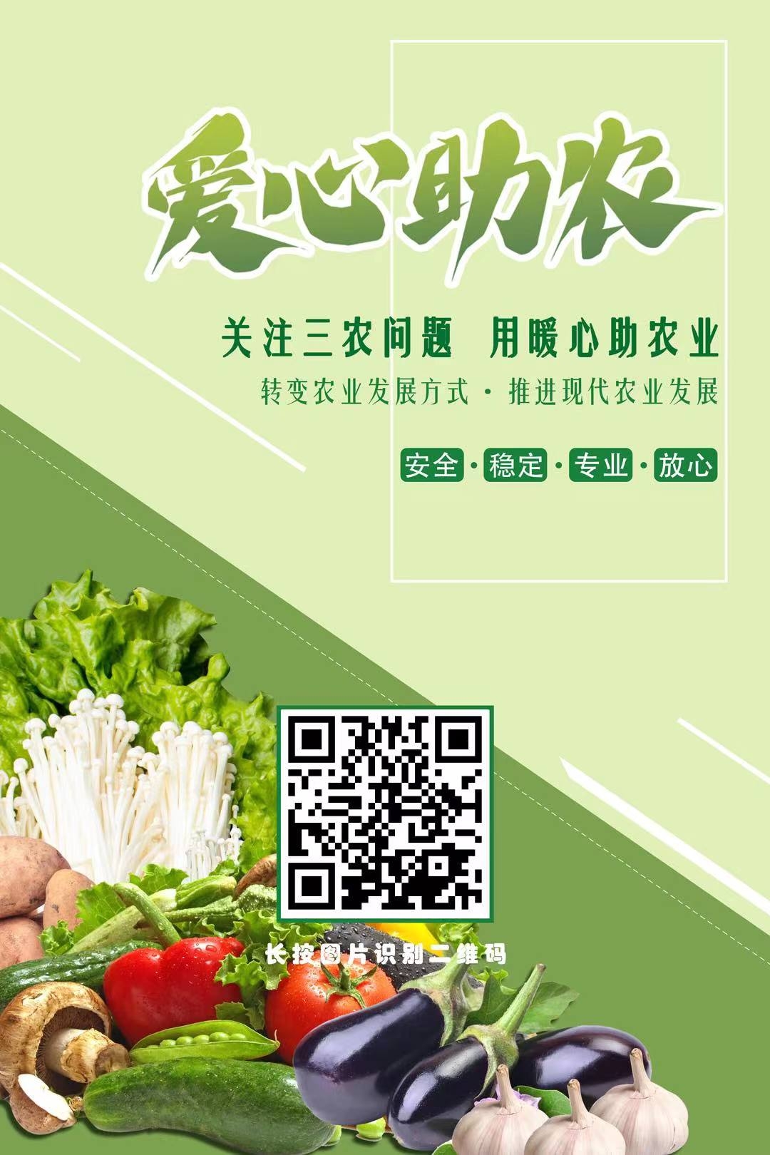 《爱心助农》首码上线，注册送核桃1888，字动产果子收溢，30米激活直推奖励5米。 - 首码项目网-首码项目网