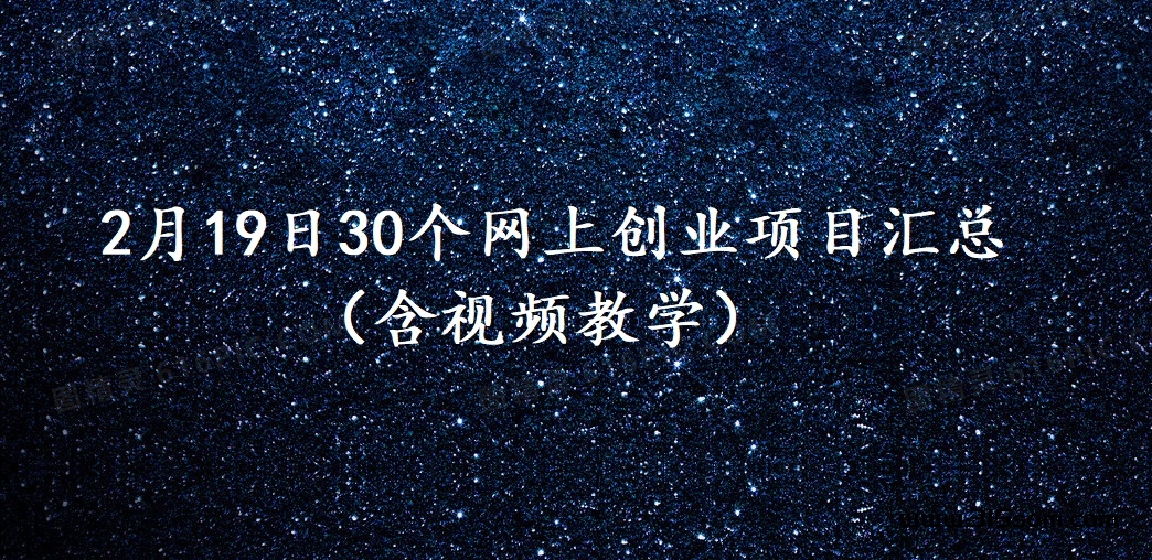 2024年2月19日30个网上创业项目汇总 - 315首码项目网（含视频教学）-315首码项目网