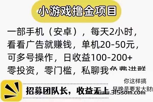 纯纯0️⃣撸 - 315首码项目网-315首码项目网