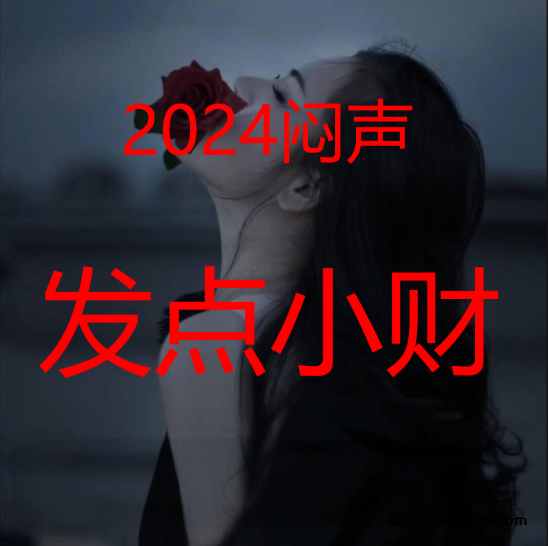上班族宝妈大学生必备，互联网副业钻米法 - 首码项目网-首码项目网