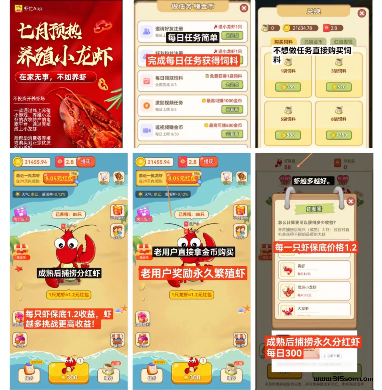 养虾钻米 嘎嘎的 - 首码项目网-首码项目网