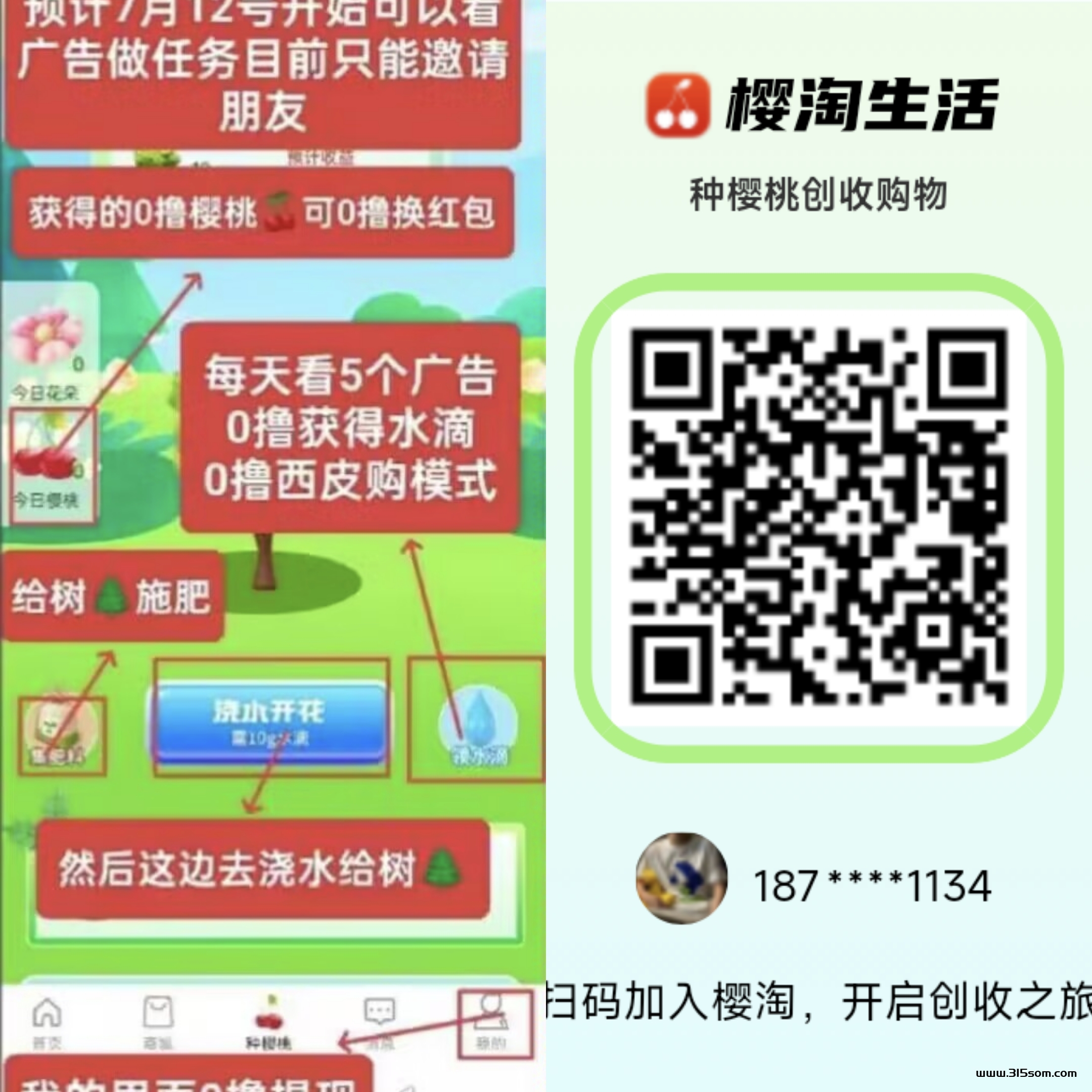 樱桃生活，看广告就有米，每天送10颗树，每天都有收溢 - 首码项目网-首码项目网