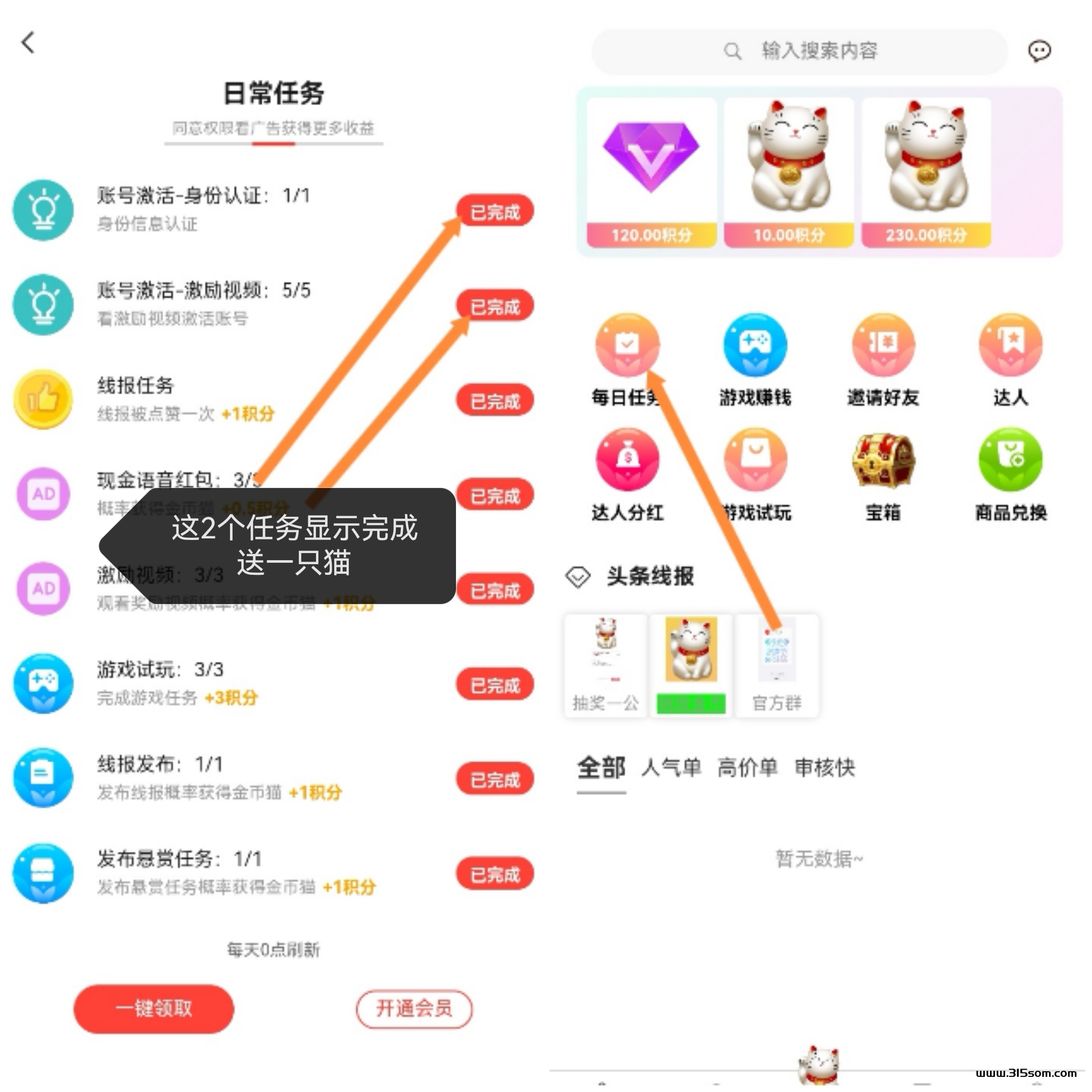 金币猫 全程零鲁-扶持 - 首码项目网-首码项目网