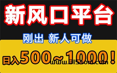 国际虚拟商品项目，日收溢500-2000米，适合个人或团队合作 - 首码项目网-首码项目网