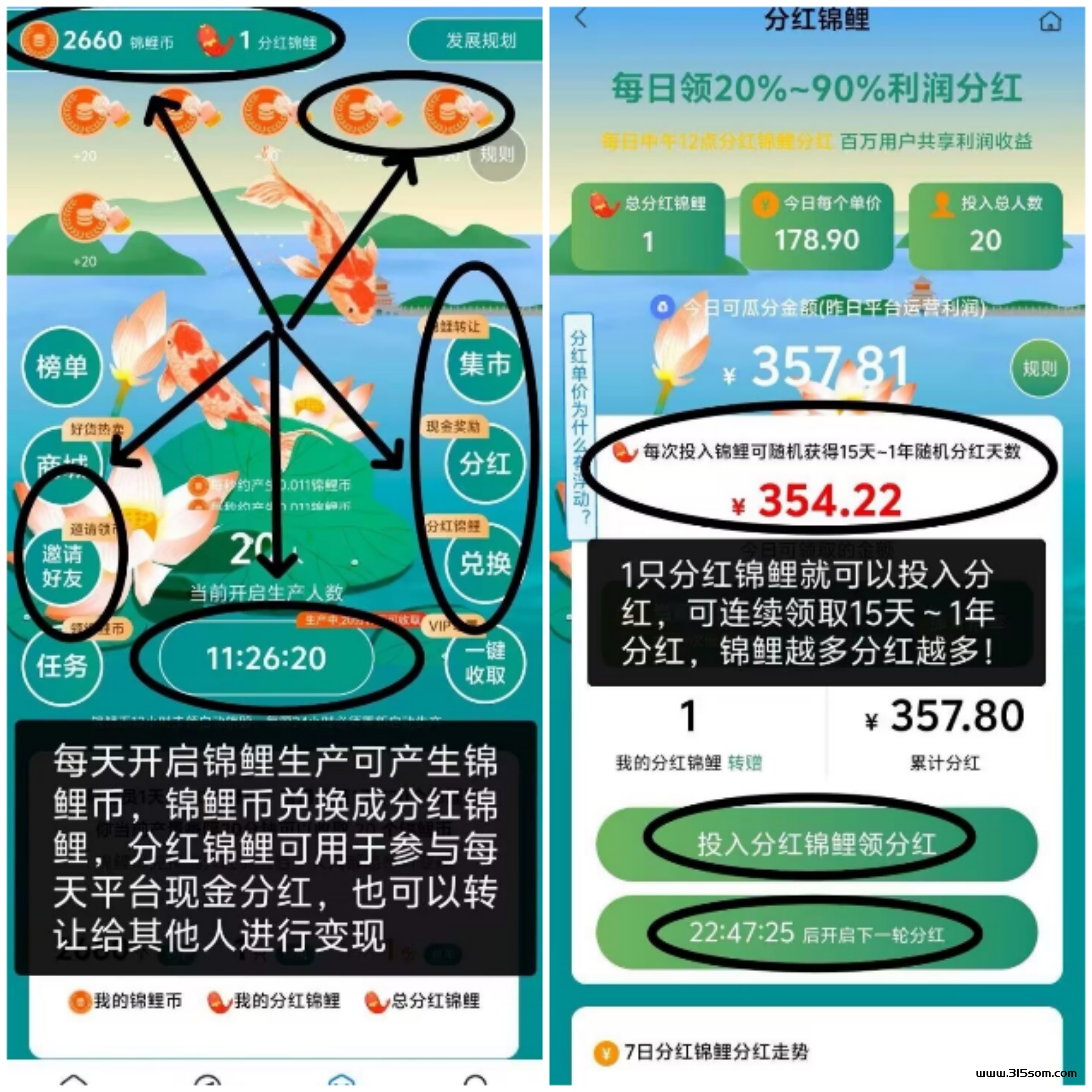 今日首码-锦鲤分宏：新型营销引流平台-趣闲钻-钻米了.可以发同平台，稳定每天收溢 - 首码项目网-首码项目网