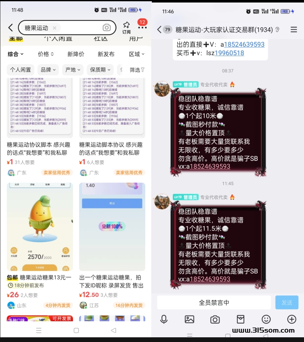 糖果运动：零撸新机遇，无限产出一个11米 - 首码项目网-首码项目网