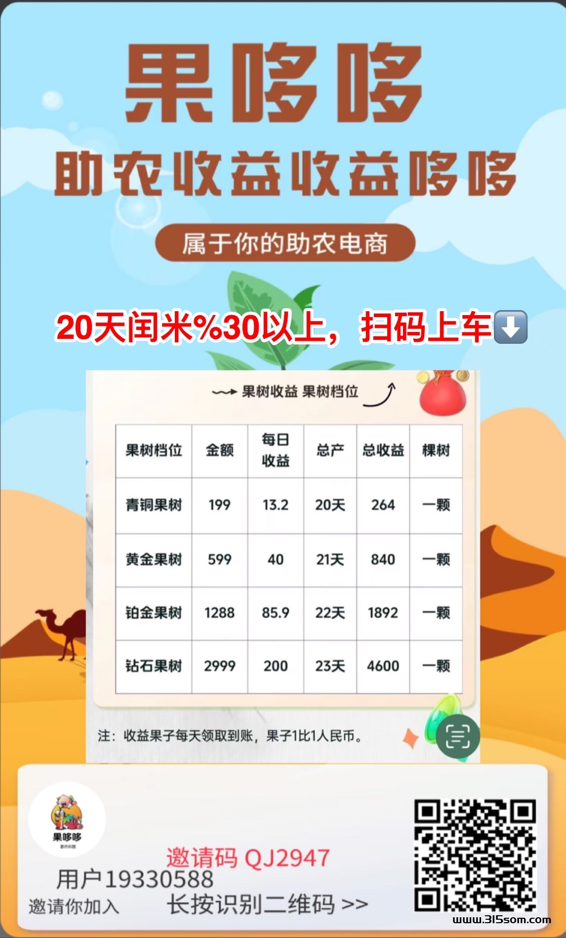 果哆哆，首码上线，刚出一秒！每天分红300➕❗️❗️ - 首码项目网-首码项目网