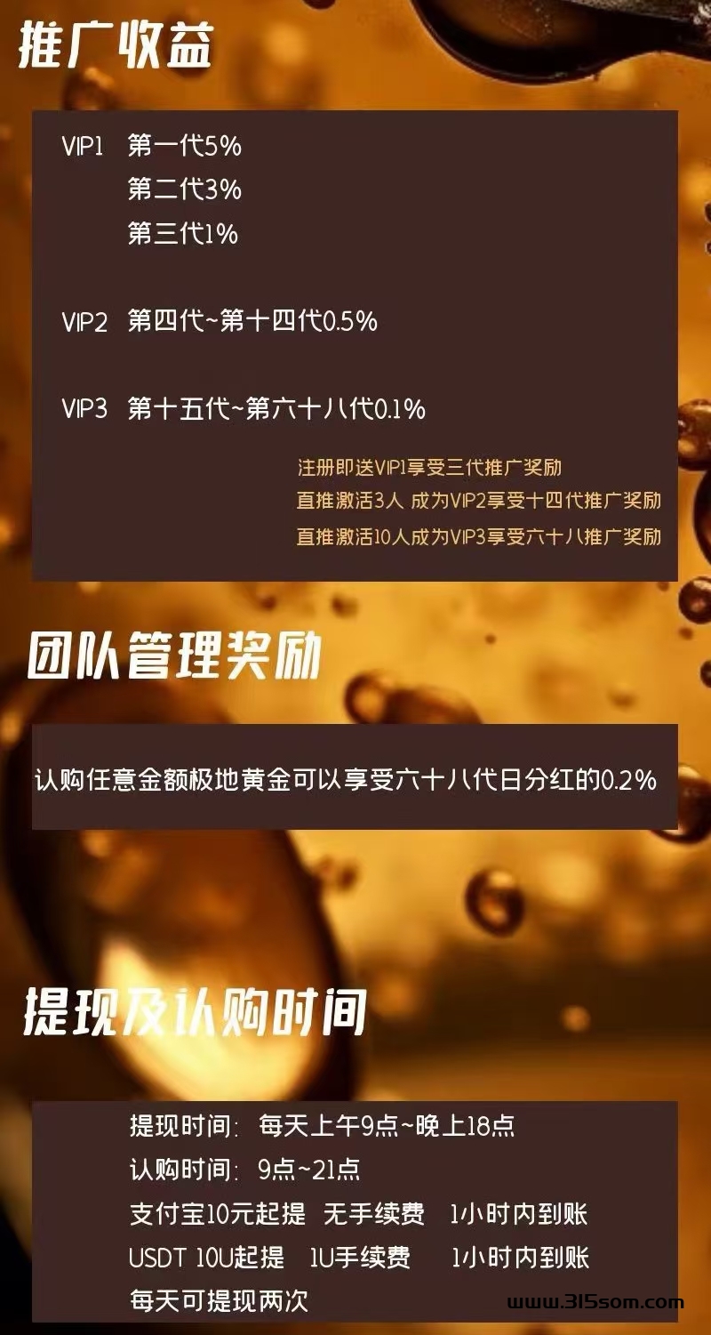 极地黄金爆火项目 - 首码项目网-首码项目网