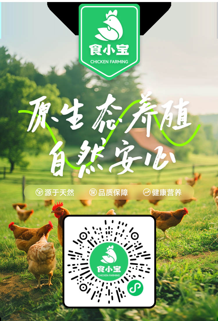 首码食小宝养鸡钻米上线，对接大小团长，有推广能力的后期还能得现金奖励 - 首码项目网-首码项目网