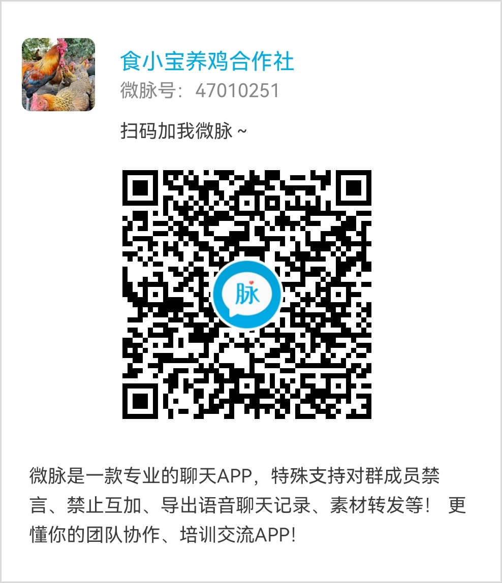 20250204133849655-1738584757917