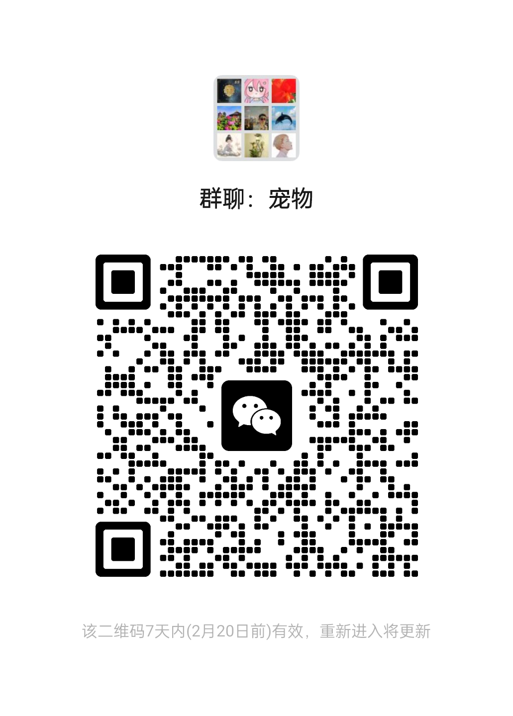 20250213233625683-mmqrcode1739460967645