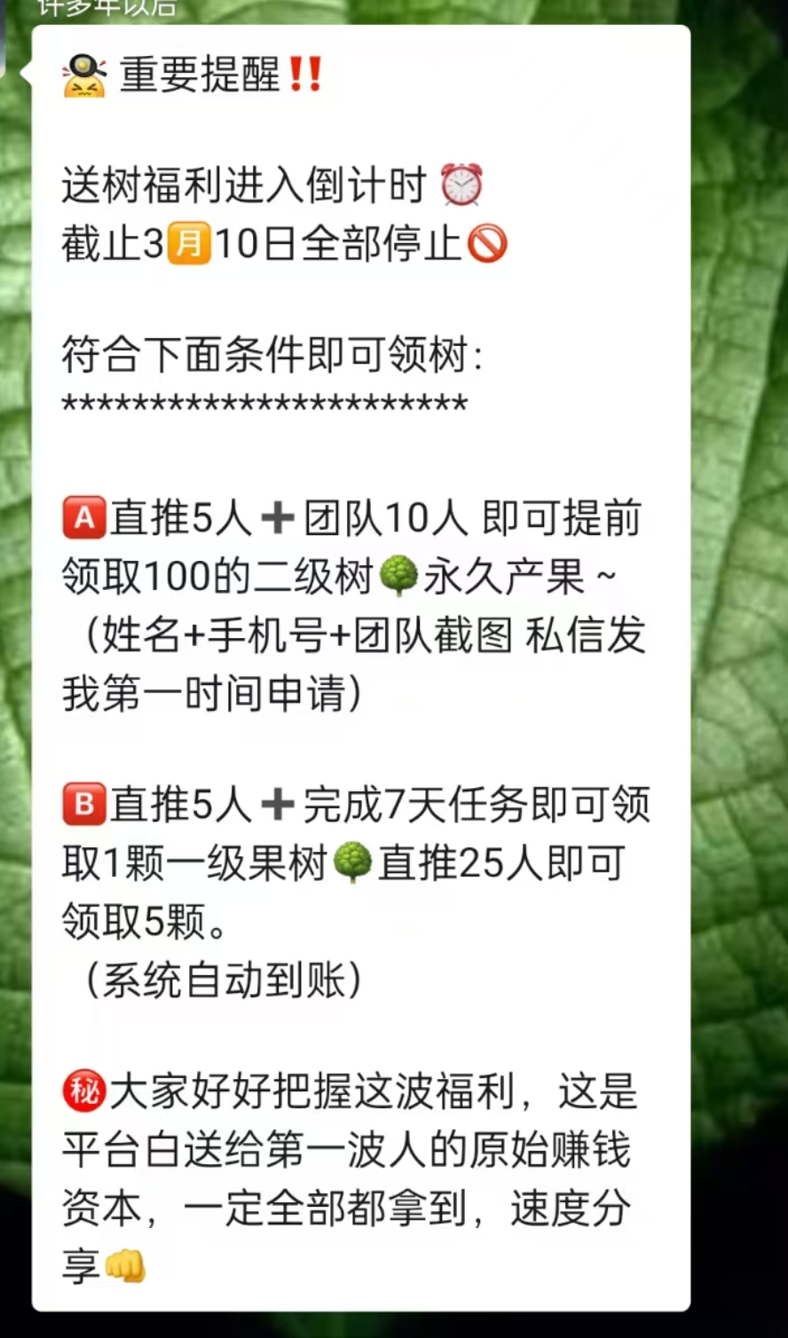 20250306030214309-mmexport1741201248677