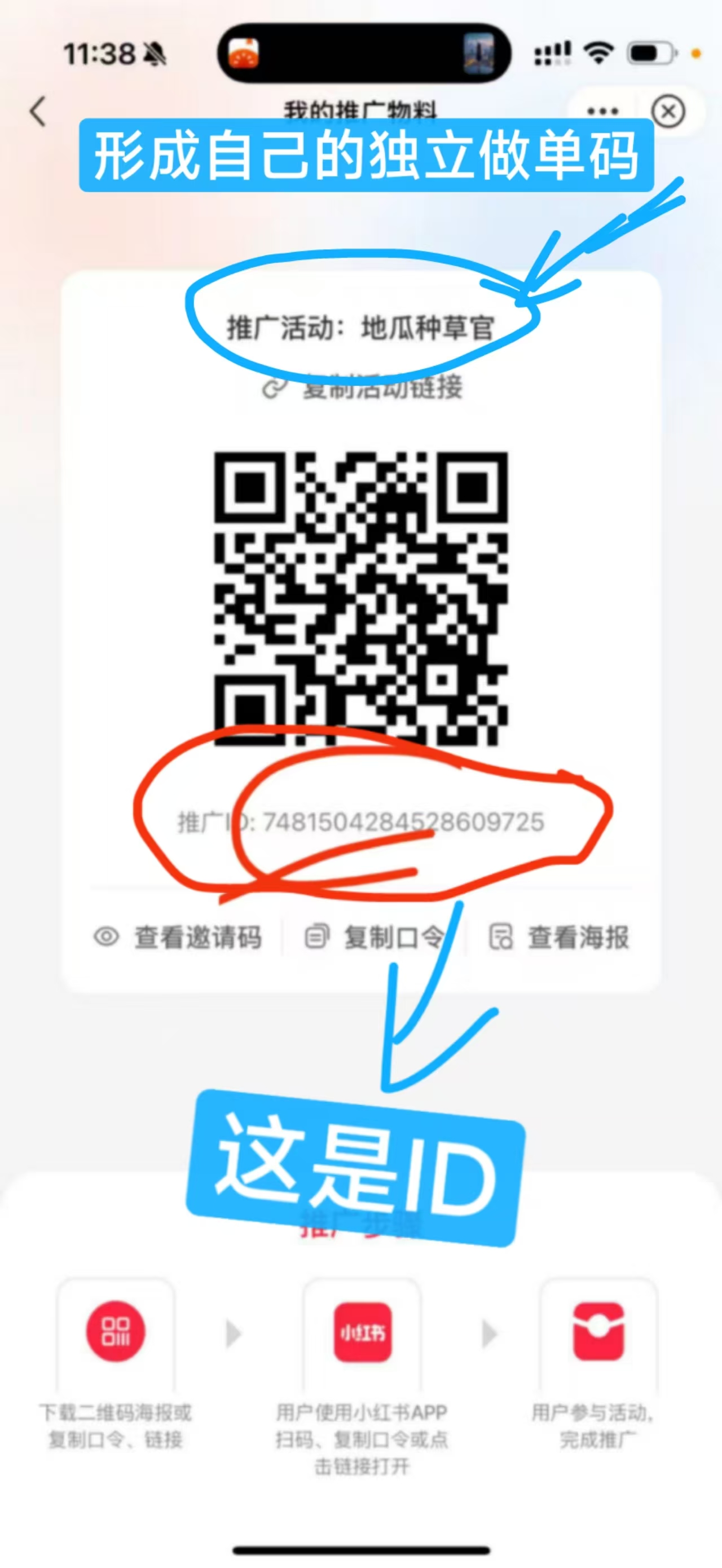20250326223904643-1000036602