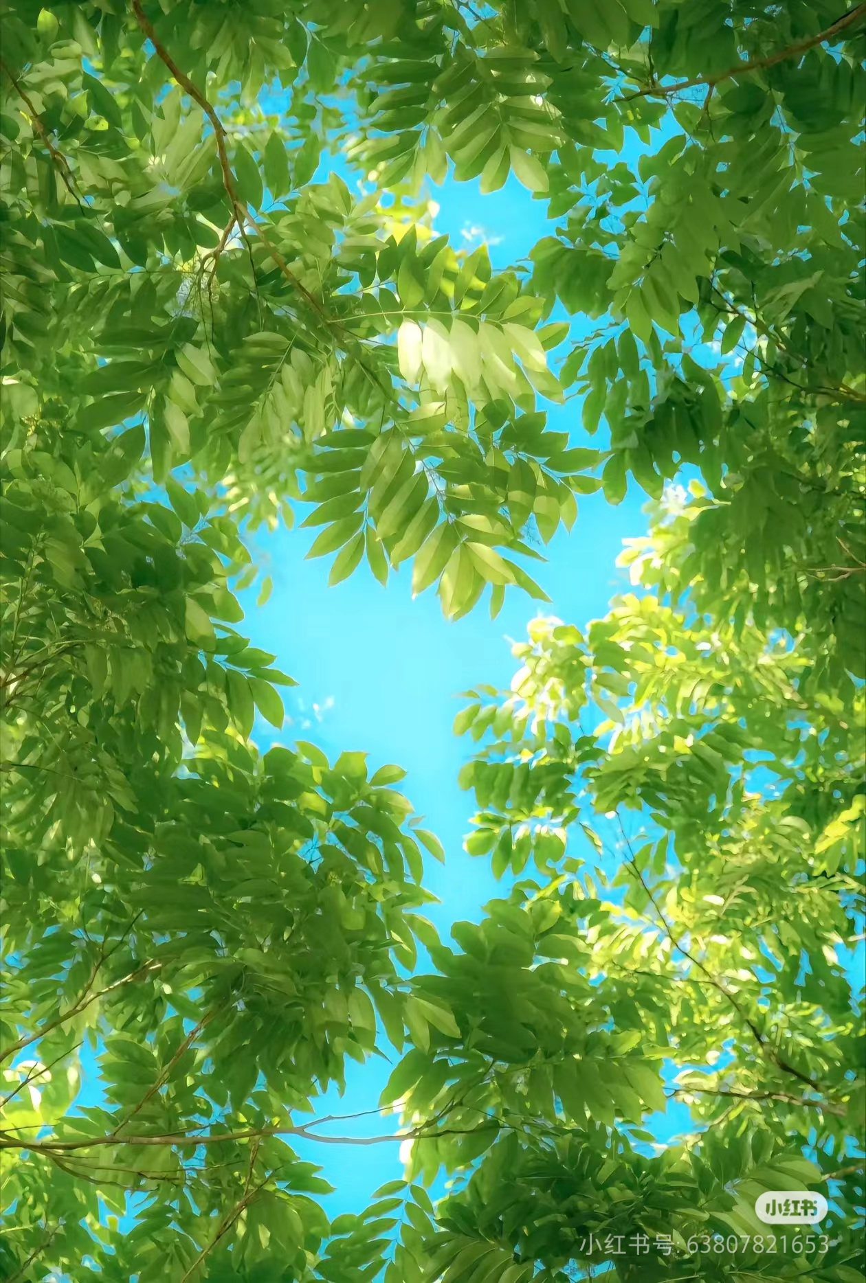 用户封面