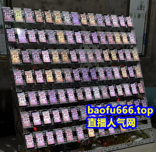 抖音直播人气挂铁快手点赞挂假人小红书视频号有效粉丝黑科技网站 - 首码项目网-首码项目网