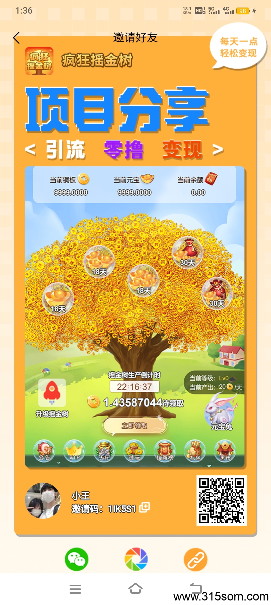 摇钱树，今天注册的全部奖励一元 - 首码项目网-首码项目网