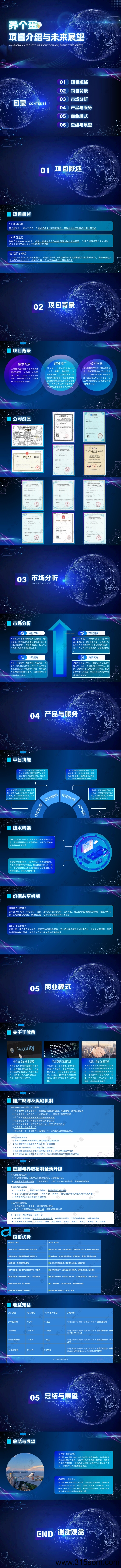 20250522213202203-QQ浏览器转格式_养个蛋项目PPT