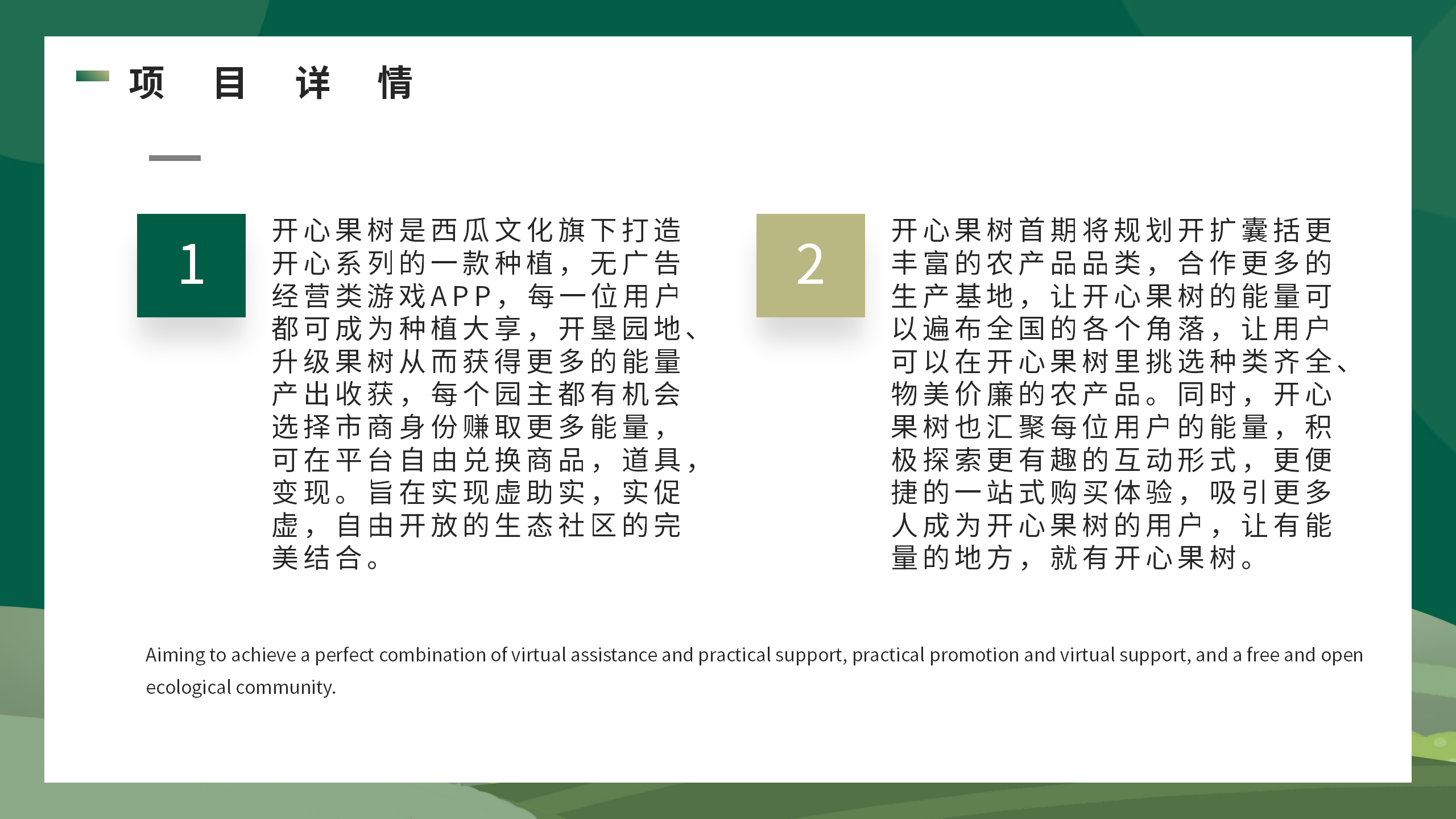 20250609155400475-开心果树PPT_02