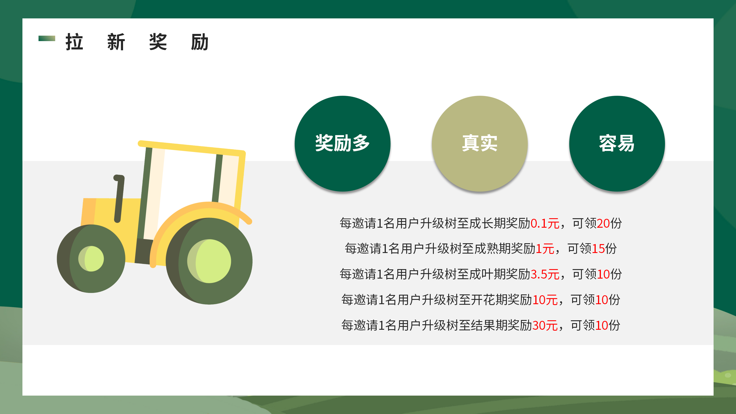 20250609160537759-开心果树PPT_13