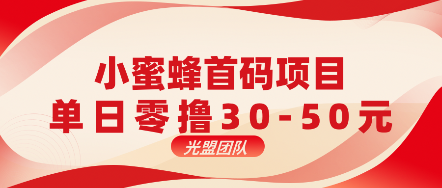小蜜蜂接码任务平台首码来袭:华尔街模式,无需注测,单号操作轻松日赚50+-315首码项目网