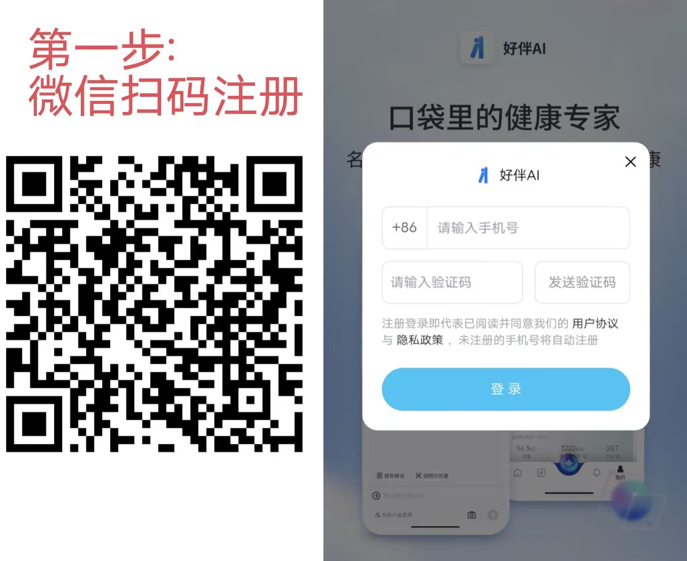伴生AI，0撸大毛，抽奖必中5米，多号多做-315首码项目网