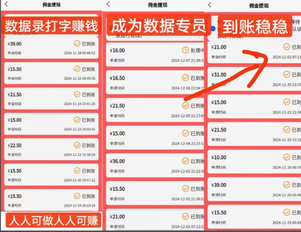 数据录零撸，每天打字赚米-315首码项目网