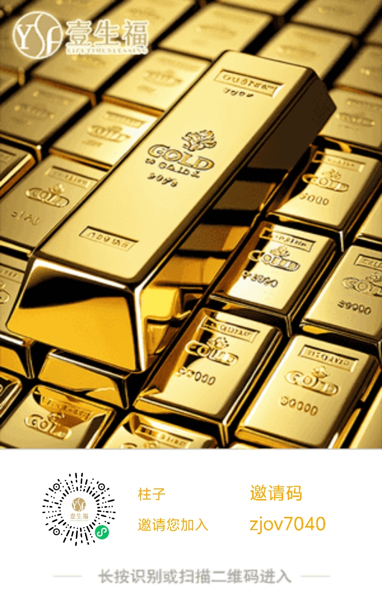壹生福首码零撸三三滑落公排模式！-315首码项目网