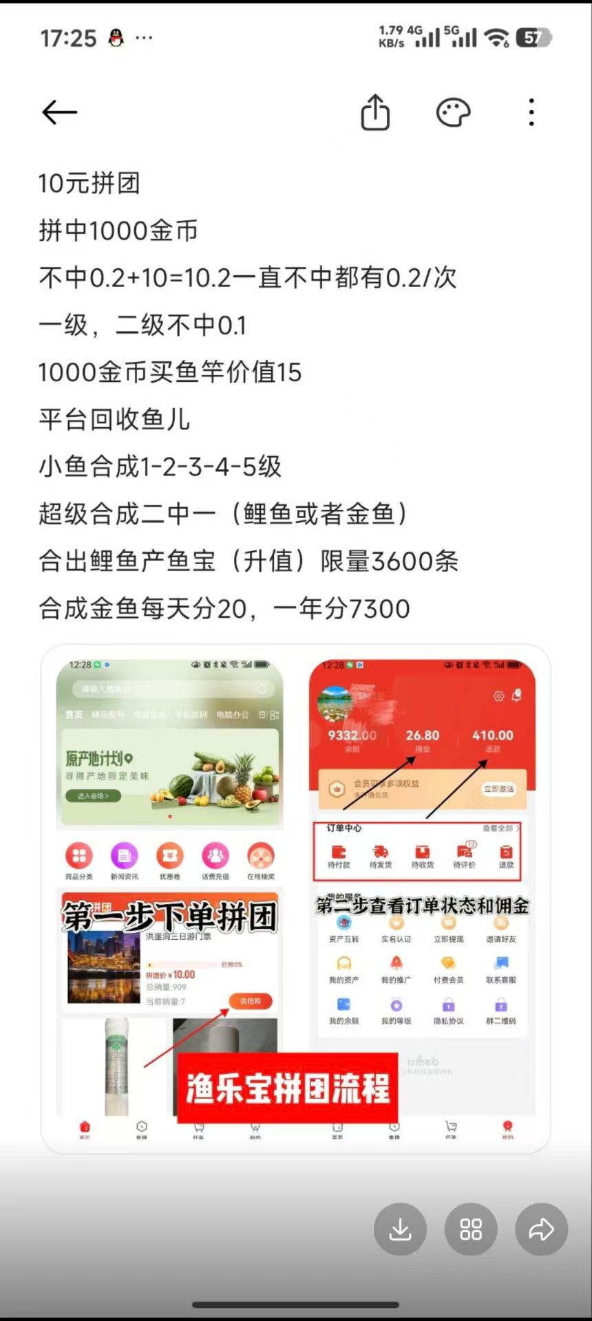 20260301010231534-mmexport1772281927718