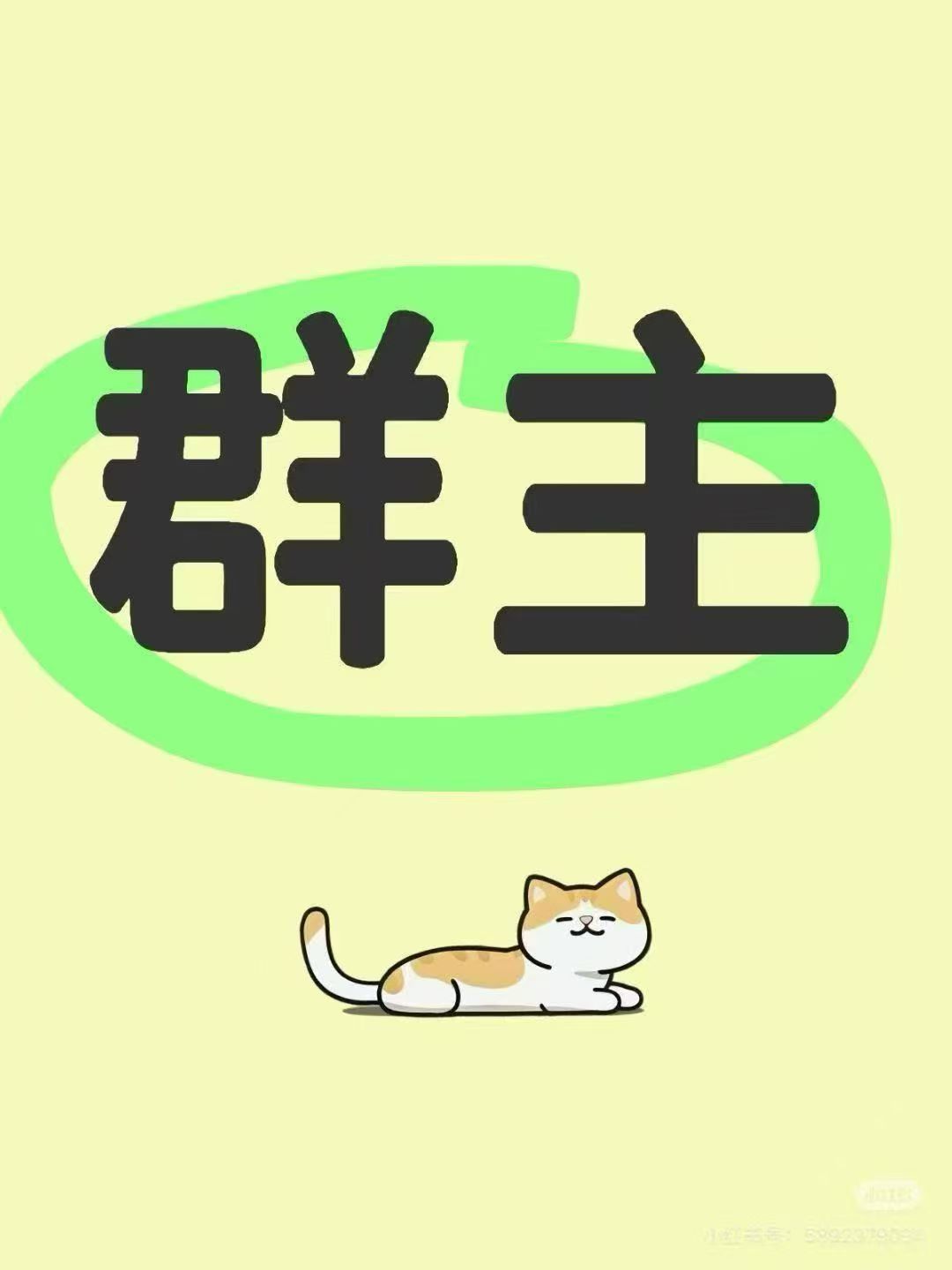 图片[6]-招募线上店主！一个群月入2千左右！多开多赚！托管群，今年红利期，全力以赴干！-315首码项目网