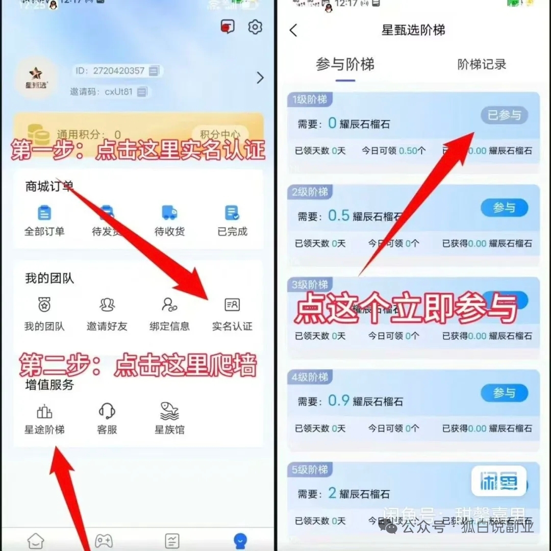 星途招募爬墙选手,团队长,0撸选手白嫖一天几-几十-315首码项目网