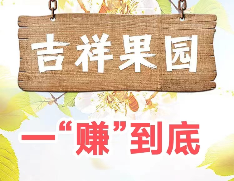 蓝莓果园-1500元 每天收益72元-315首码项目网