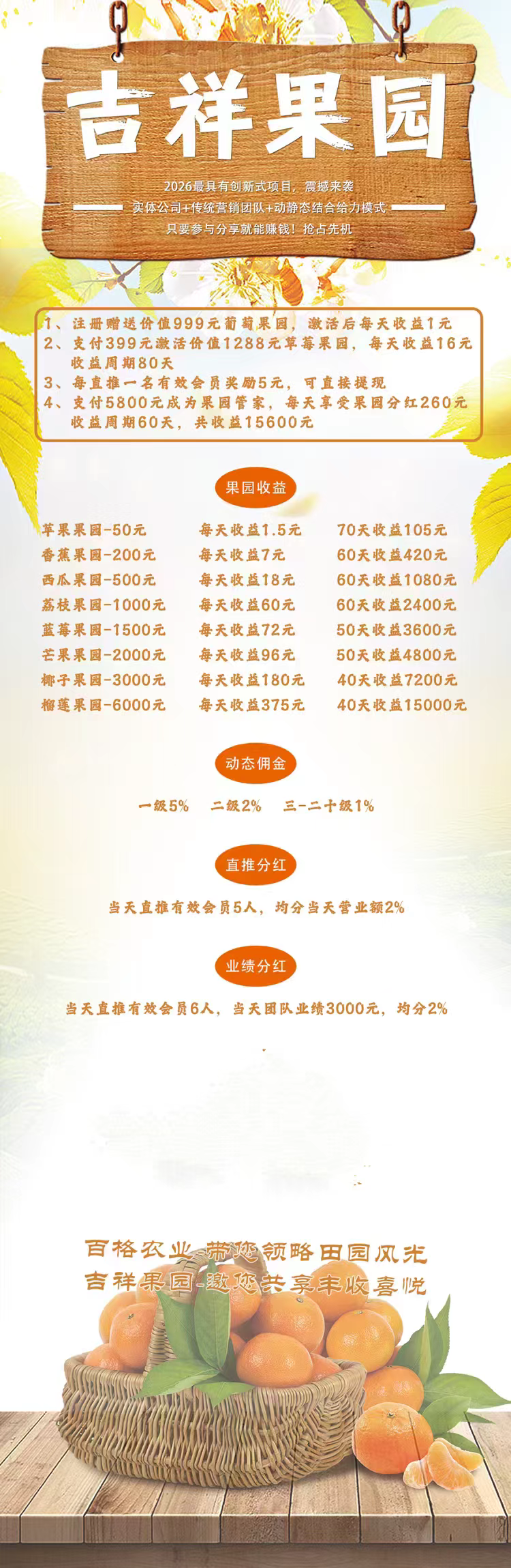 20260323115308206-mmexport1774229600703
