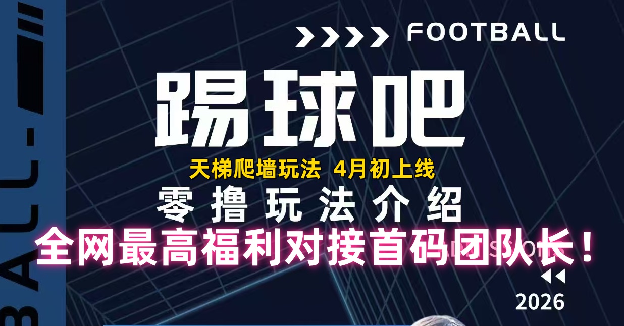零撸爬墙来袭【踢球吧 】全网最高福利对接首码团队长！-315首码项目网