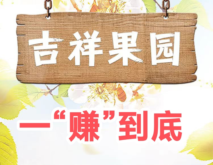 开心吉祥果园游戏,种植水果,可永久躺赚-315首码项目网