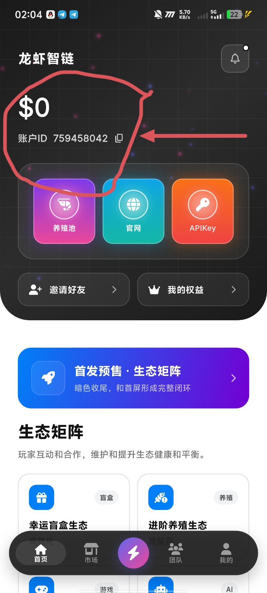 龙虾智链首码，全扶持（包括下级）-315首码项目网