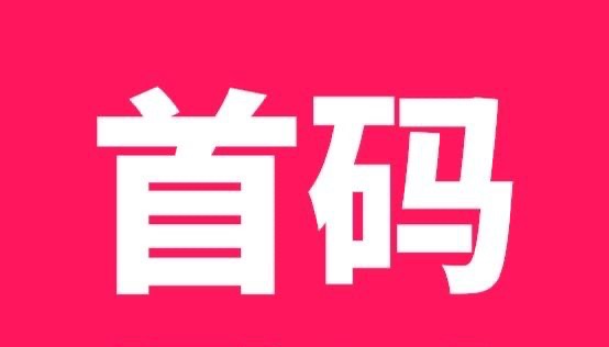 首码今日到账5320元 【聚星传媒】最火热暴力0撸速度上车-315首码项目网