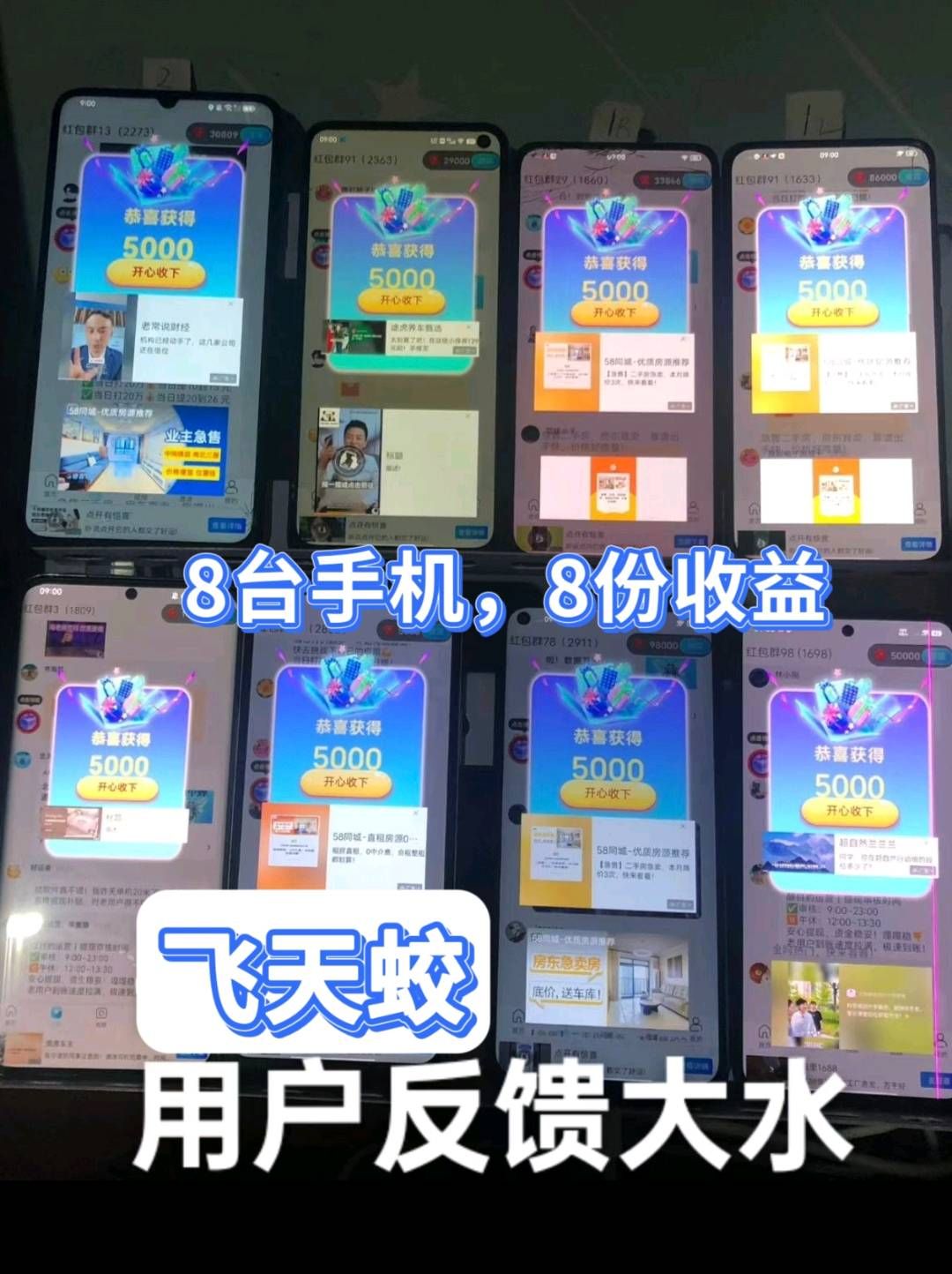 首码飞天蛟新品刚出，顶包5毛邦邦赚，北天，蓝象同款-315首码项目网