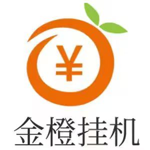 玩了九天金橙子挂机提现3k多，全程零手动-315首码项目网