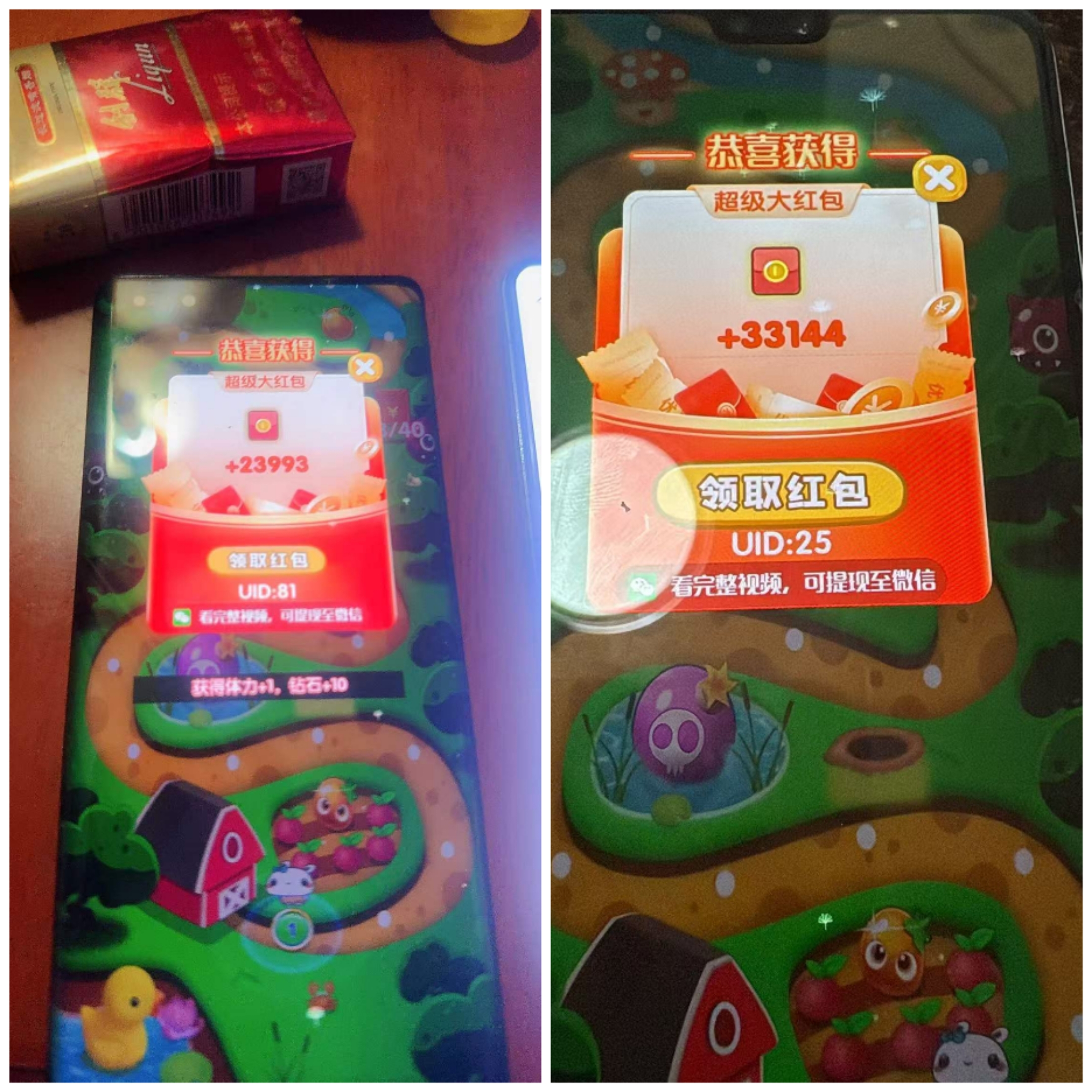 1841c6e62620260829164501