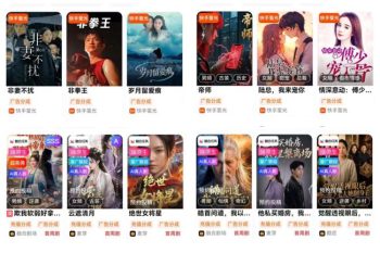 全自动发短剧全新项目-315首码项目网