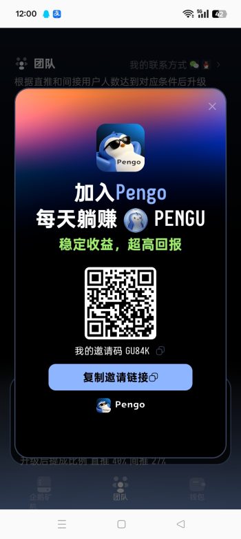 首码PG,纯0撸无广告,随时可变现-315首码项目网