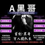 黑哥掘金指南的头像-315首码项目网