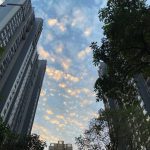 washabi24的头像-315首码项目网