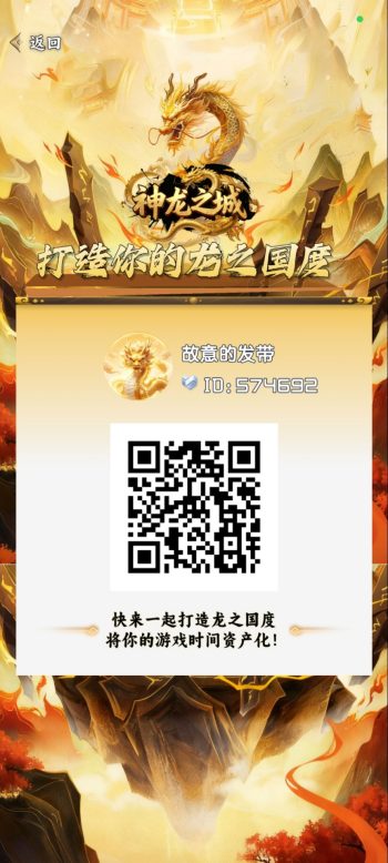 神龙之城最新项目-315首码项目网