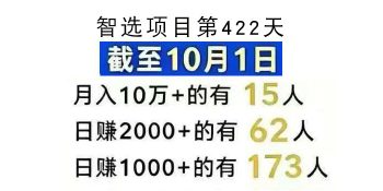 智能维权，月入30万-315首码项目网